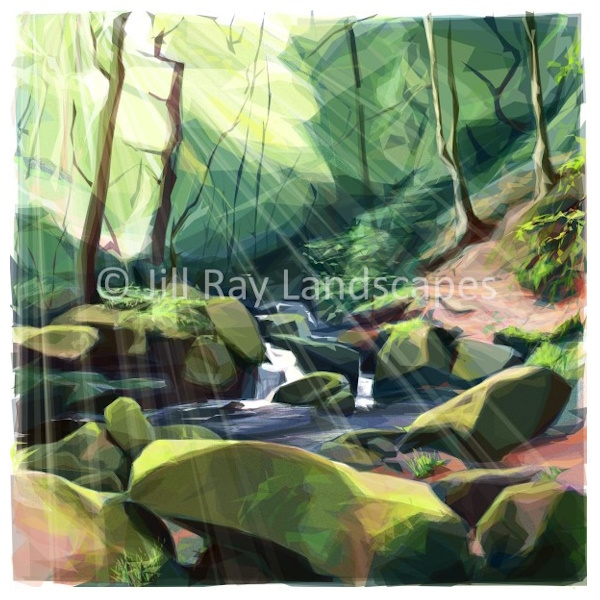 Limited Edition Prints