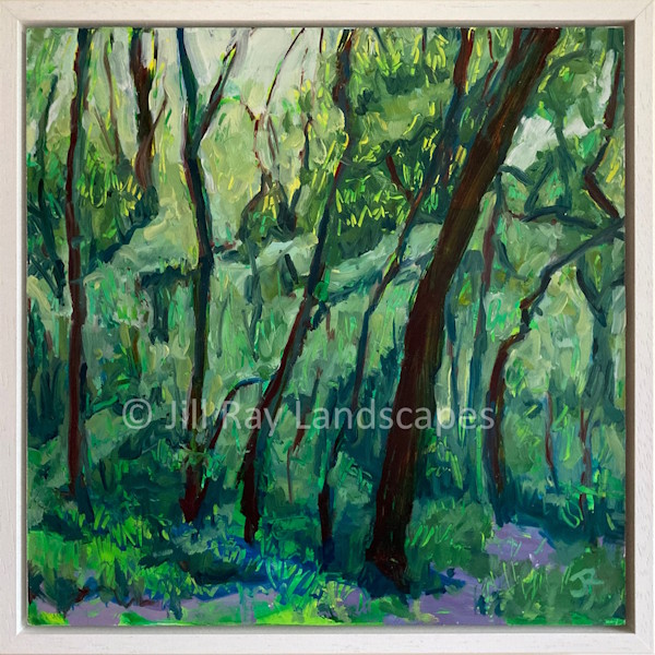 Spring Woods 4