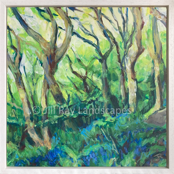 Spring Woods 10