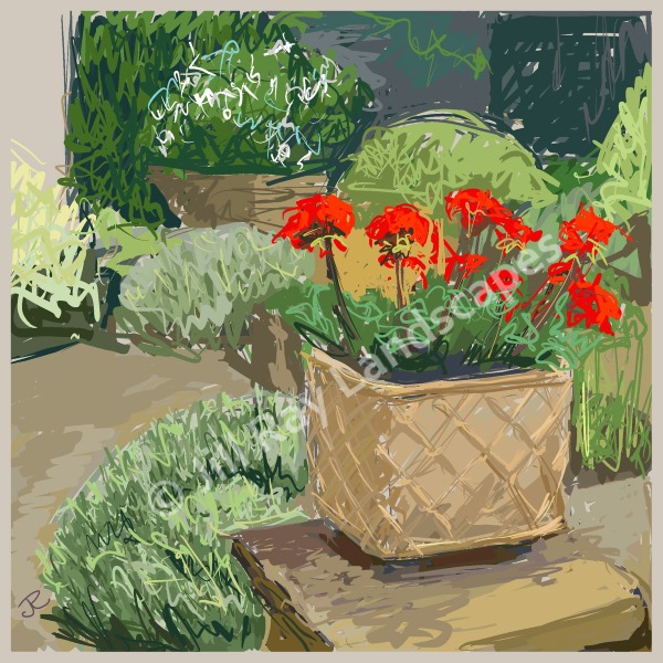 Cheering up with geraniums - art card