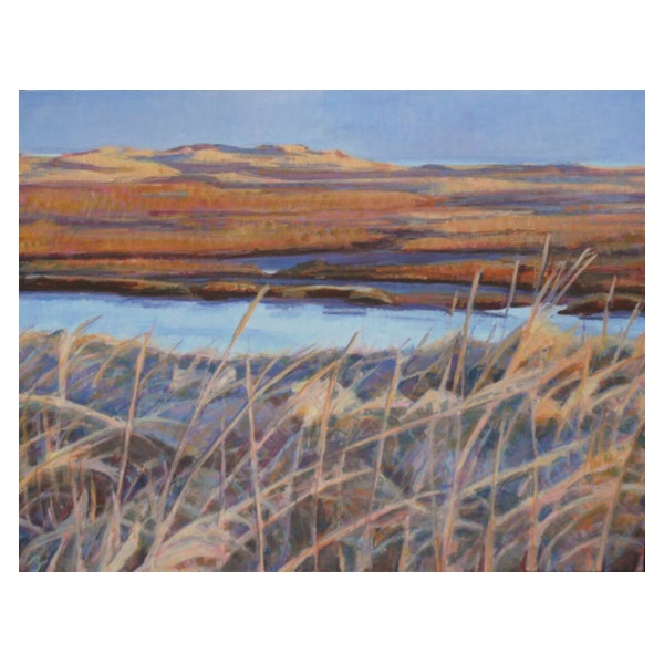 Cleethorpes 1 Frost on the Marsh