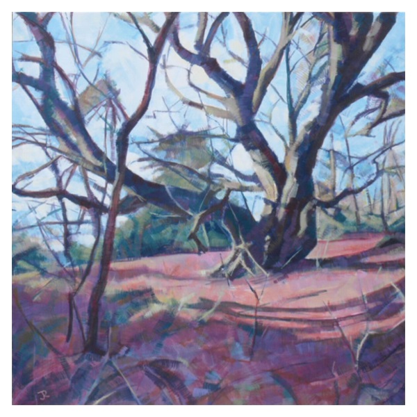 Chatworth Stand Wood, Beech